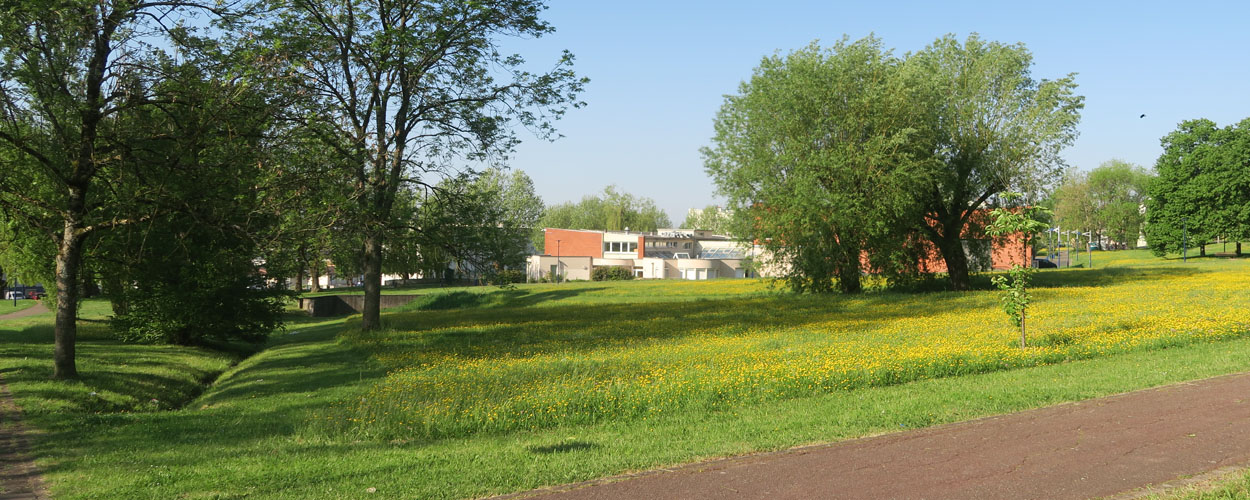 parc st ex.jpg